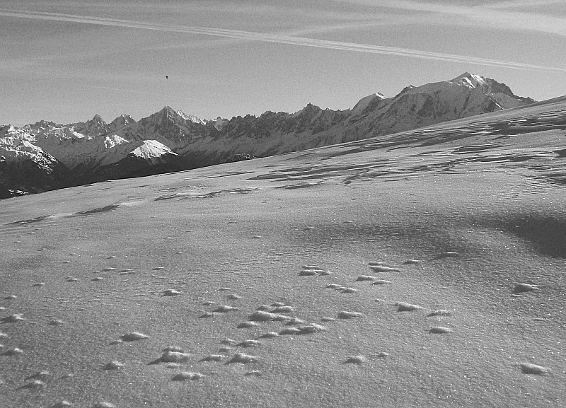Croisse Baulet : la chaine du Mont Blanc vue depuis le sommet du Petit Croisse Baulet