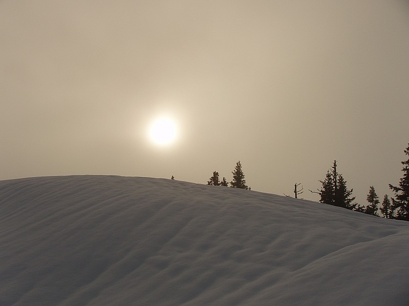 va t'il percer ? : le soleil a lui aussi du mal a sortir du brouillard.