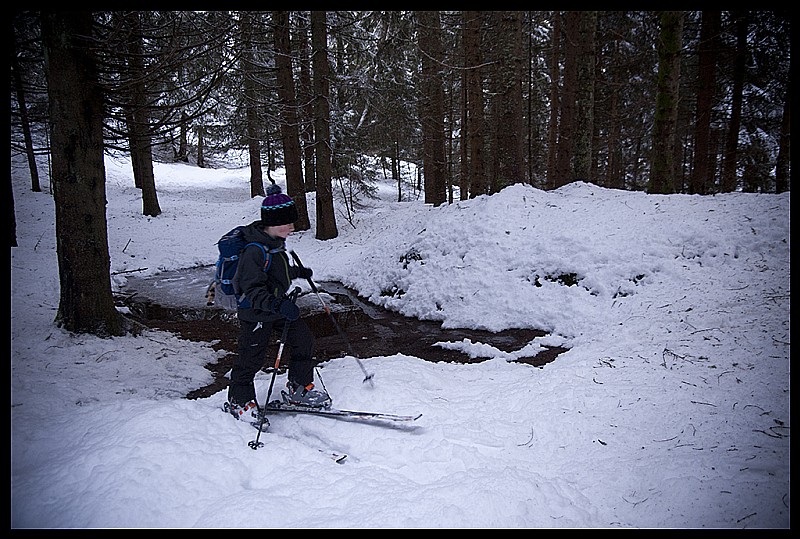 l'aventure dans la forêt : descente dans la forêt