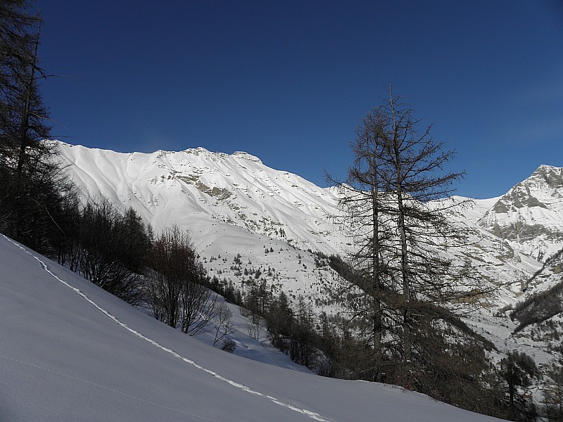 Montée agréable en fôrêt.