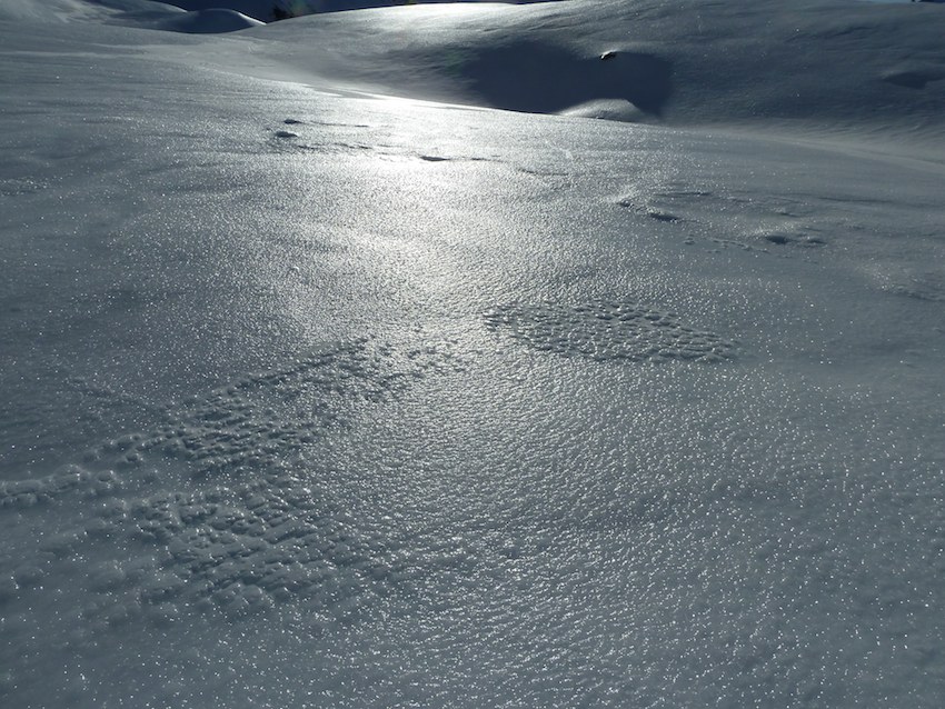 La belle vitre : Comme ça, c'est plus clair !