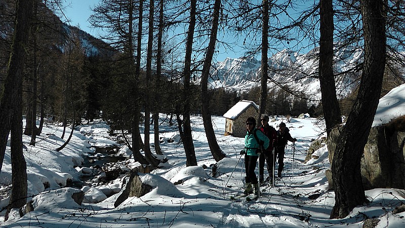 2050m : Belle poudre en forêt