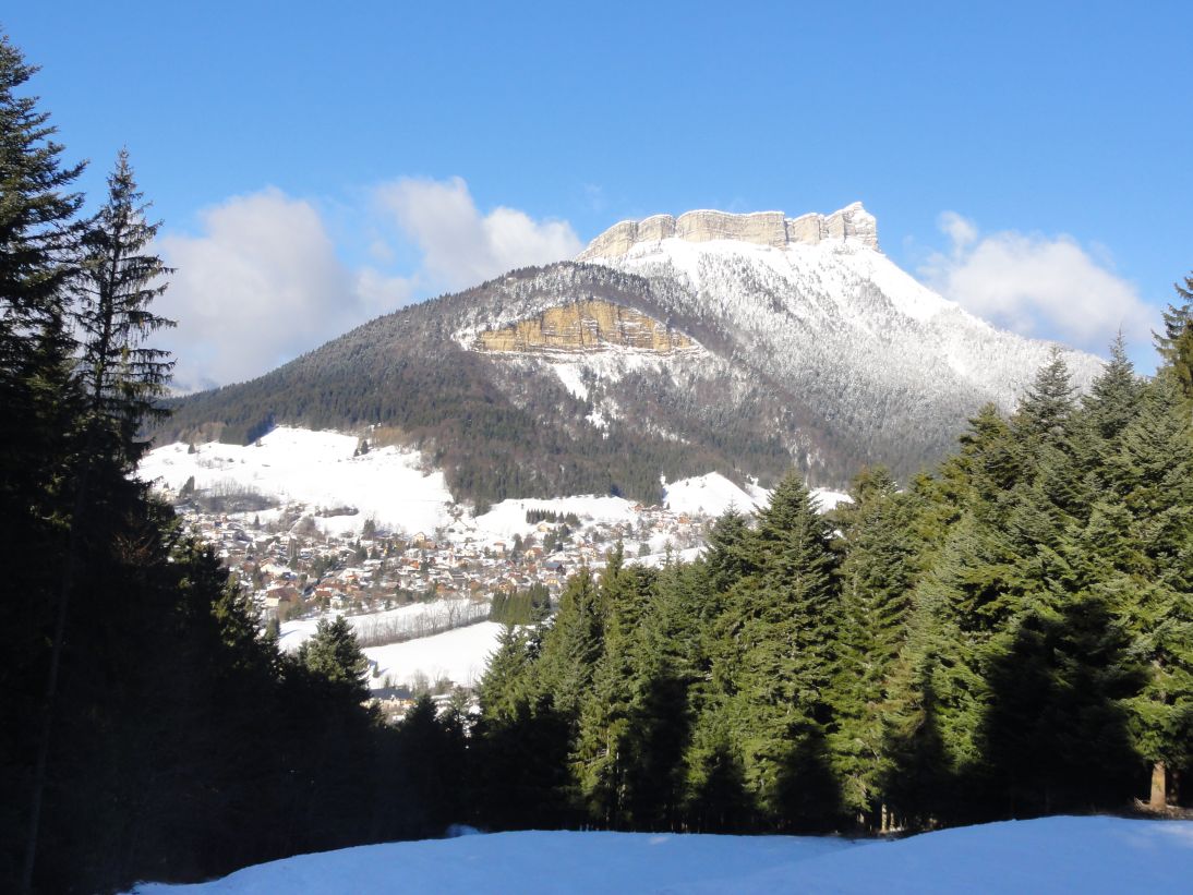 Sappey-Sommard_vue_village : 9 janvier 2012 14h00 - Le Sappey en Chartreuse - Descente via piste du Sommard - Vue village et au loin, Chamechaude