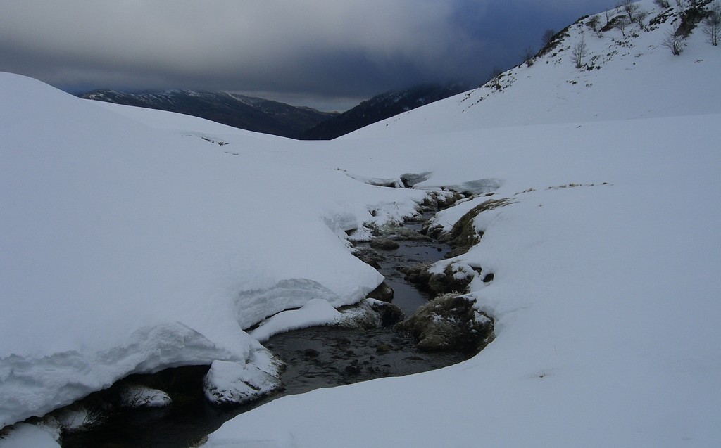 L'Impradine : En temps normal, elle devrait être sous la neige