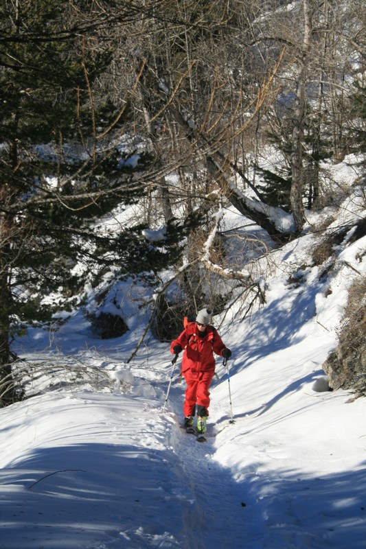 Sous le Villar : plaisir de la montée sur une bonne trace de trappeur.