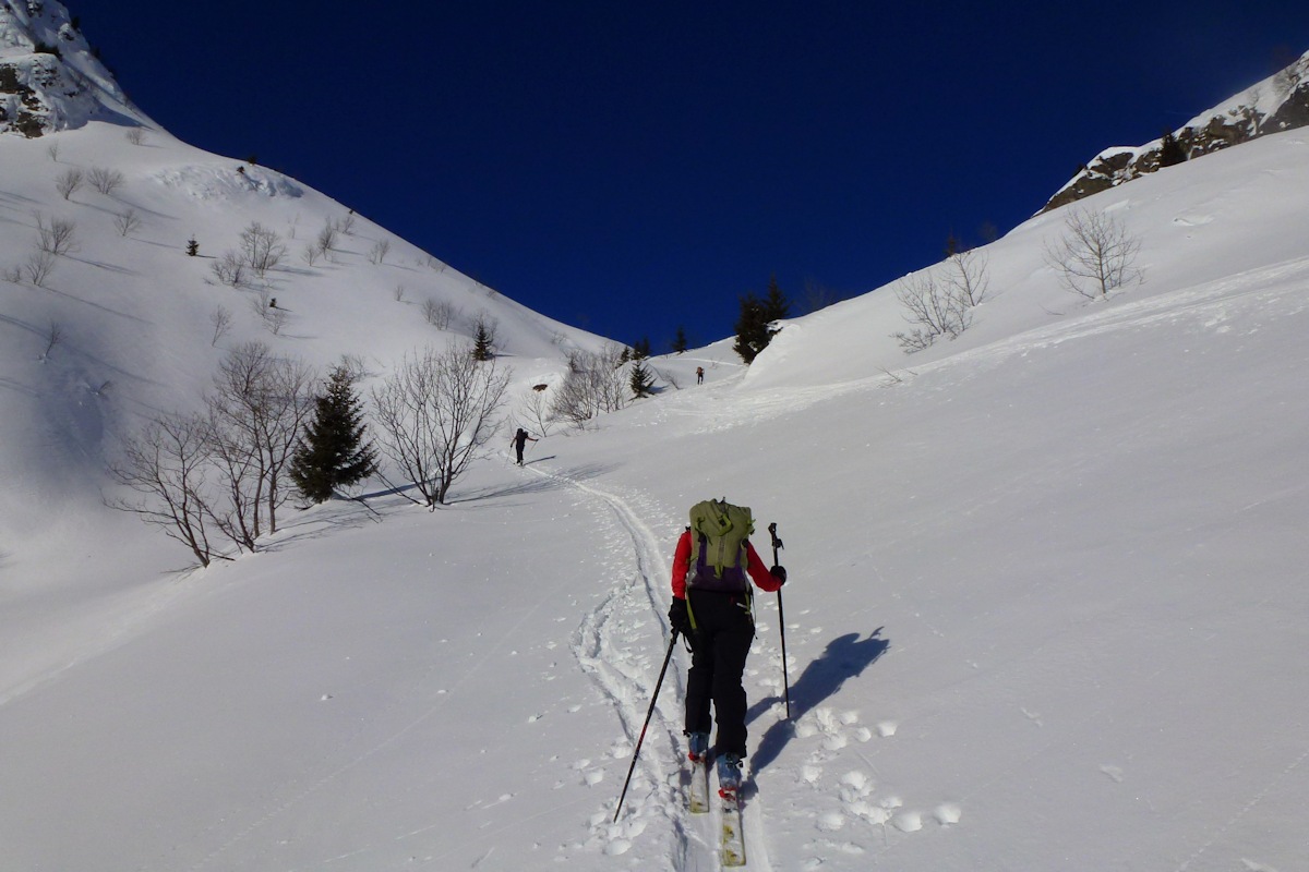 Dans la trace : Juste avant d'accèder au vallon du Bacheux.