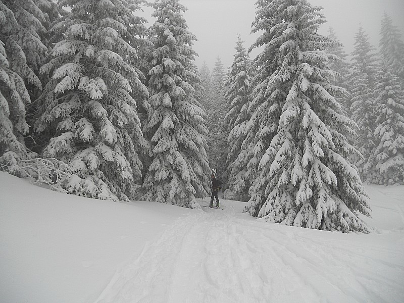 tout est soupoudrée : ambiance hivernale