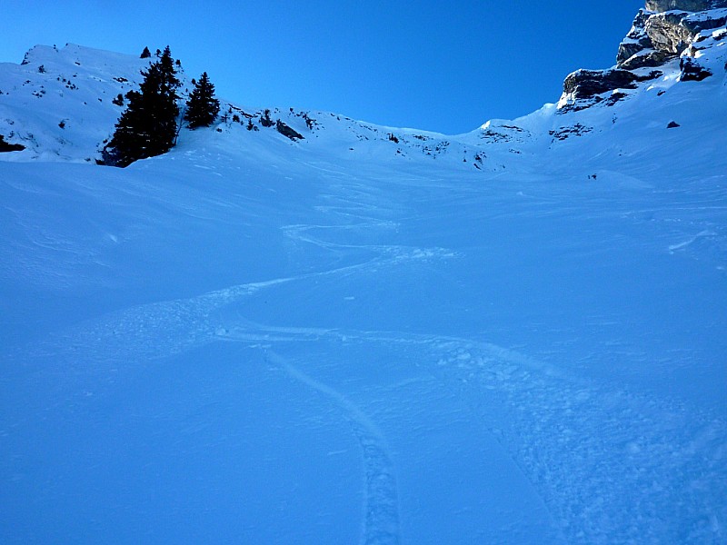 Bas de la face : Poudre.