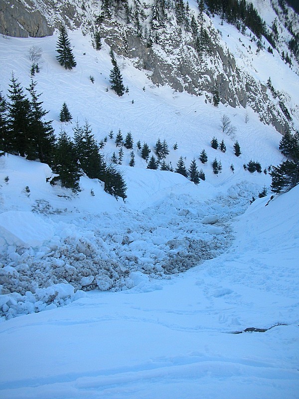 Bas de Combe : La queue de l' avalanche est descendue bien bas ! Impressionnant ... Ca calme d' entrée pour le Chauchefoin ...