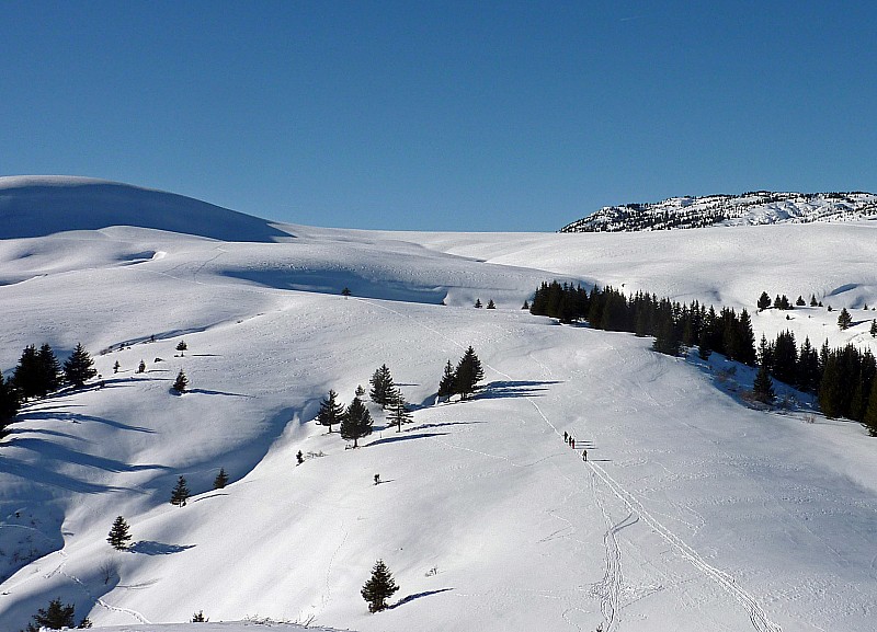 Col de Cenise : un groupe de randonneur vers les grandes étendues de Cenise