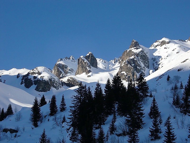 Selle du Puy Gris