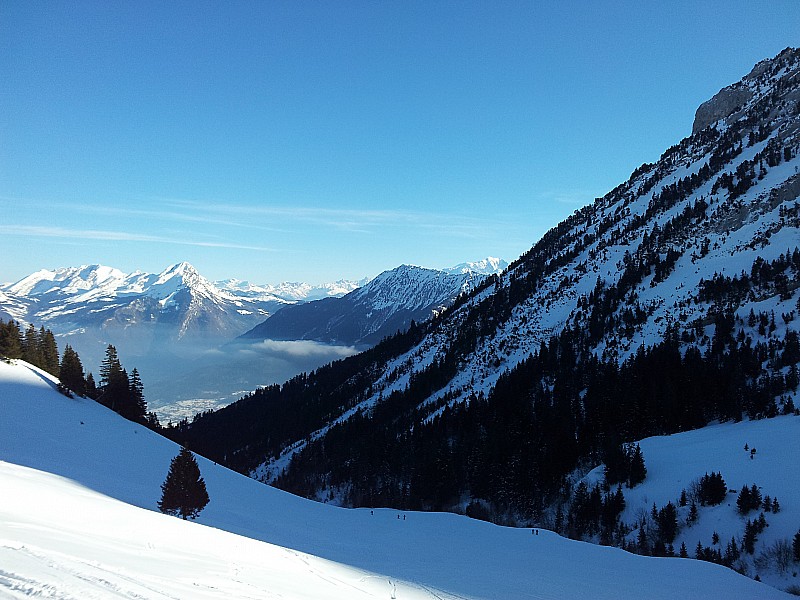 Vue sur le Mt Blanc : En sortant de la Forêt