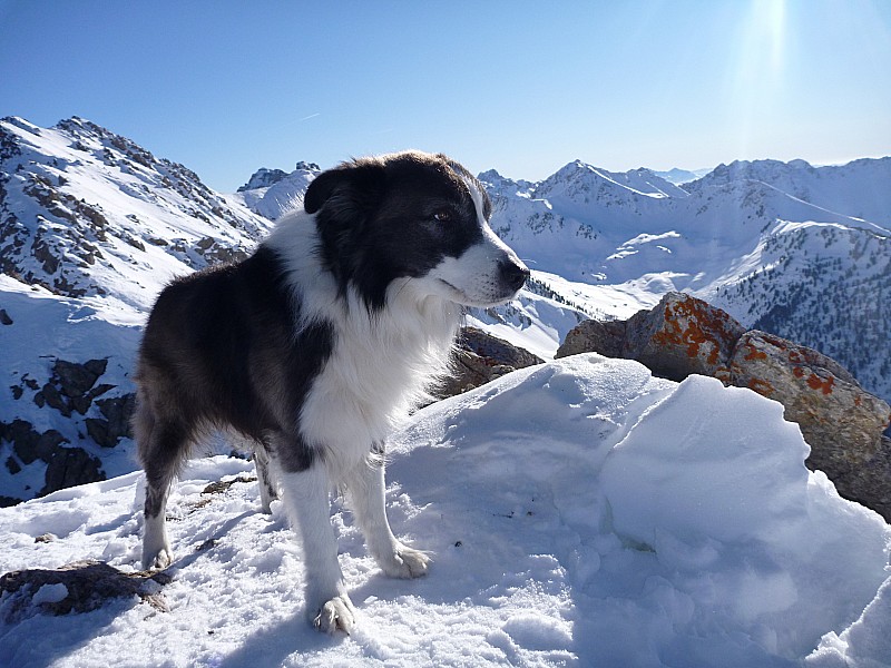 Tchesco avec nous : Arrivés au sommet, le soleil, ça change de l'itinéraire qui voit pas le soleil