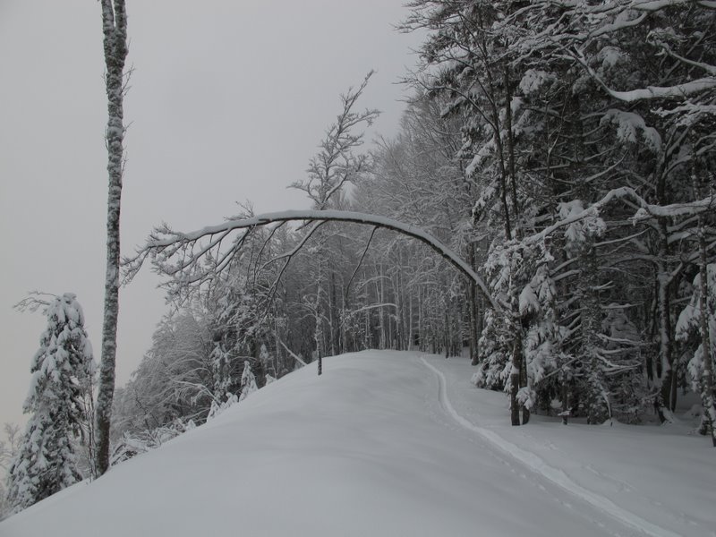 Vers La Pinea.
