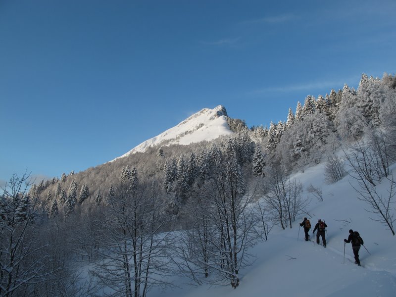 La Pinea.