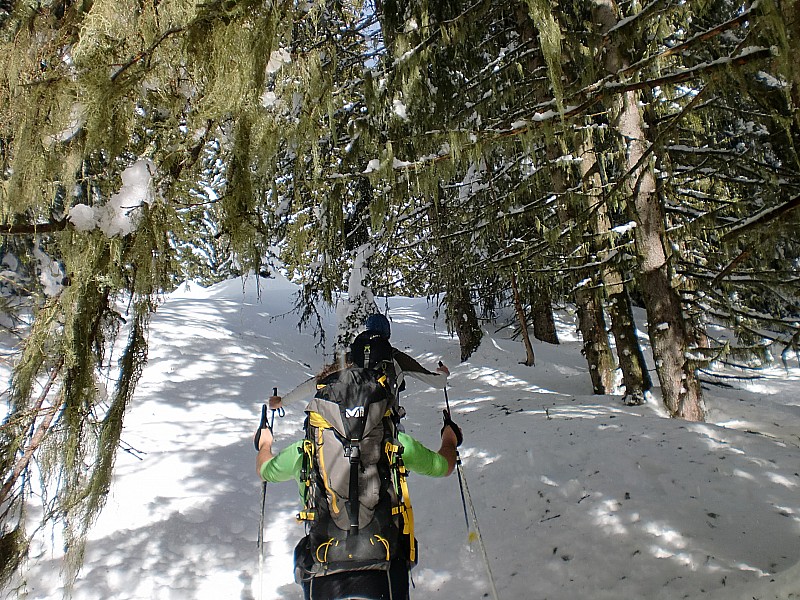 roche de midi : passage sympa en forêt