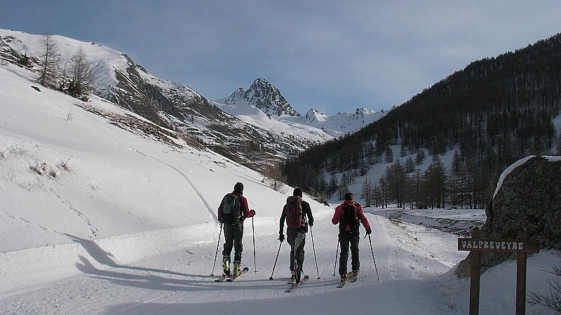 sur la Piste : vent dans le dos pour le moment