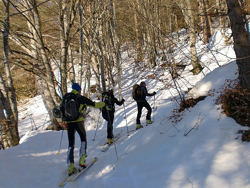 pointe des arangles : depart dans la foret par le chemin en direction du mont d'en haut