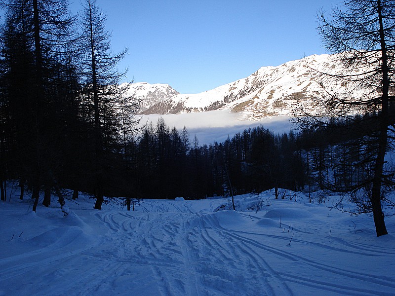 sortie forêt : à la sortie de la forêt nuage sur champsaur