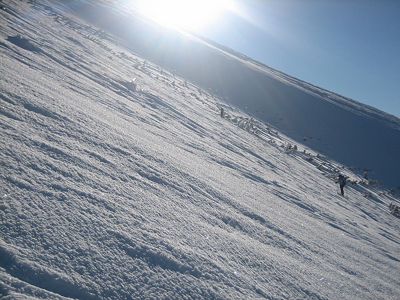 dans l'alpage : neige travaillée par le vent
