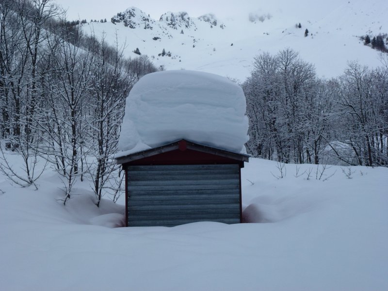 Le Foron d'en bas (1350) : Quand on vous dit qu'il y a de la neige...