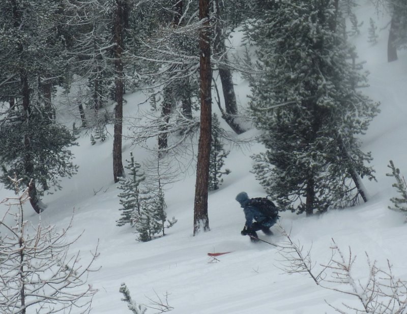 Cochette : Section "neige de cinema", Robi prend la pose a son tour ;)