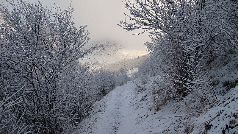 Départ : Pas beaucoup de neige certes, mais tout de même un paysage inespéré !