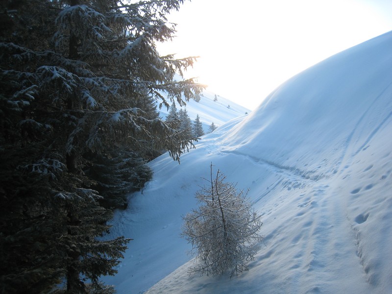 Arrivée au col : Col des Ayes