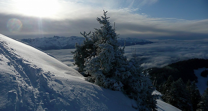 Contre-jour : Pleins les yeux