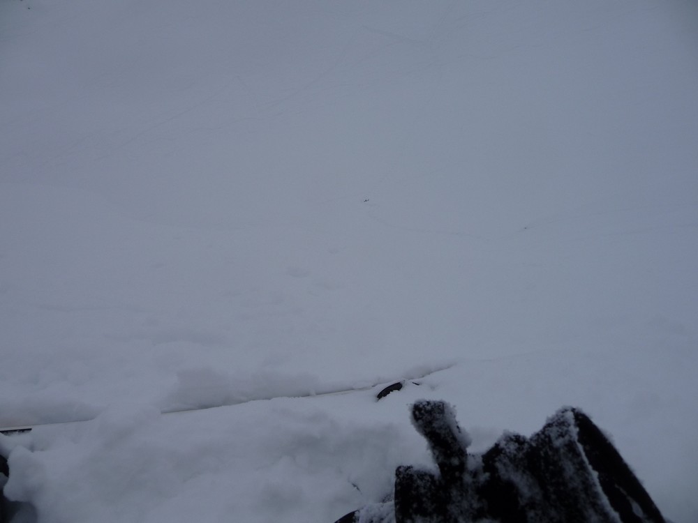 faut passer où? : pour ce faire une idée de la visibilité :je vois mes skis d'approches en bas mais trop la pente :et je sais que tout droit c'est une petite barre rocheuse