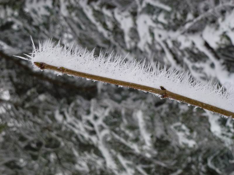 Sous Dine : ... toujours Dame Nature