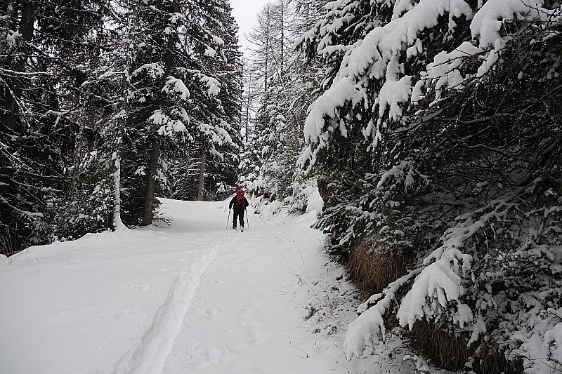 Raton" du 29.01.12