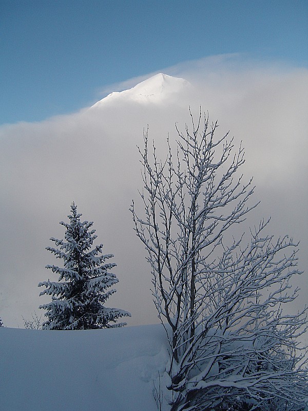 Pointe d'Almet hors des brumes