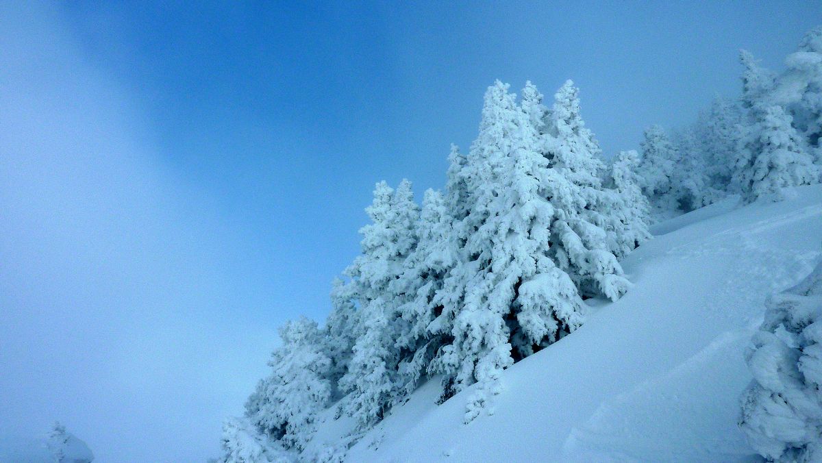 Bleu : la trouée fut breve... mais les chous fleurs n'ont rien à envier à ceux de Chamechaude