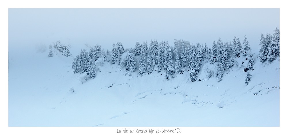 monochromie naturelle : pas de couleurs aujourd'hui...