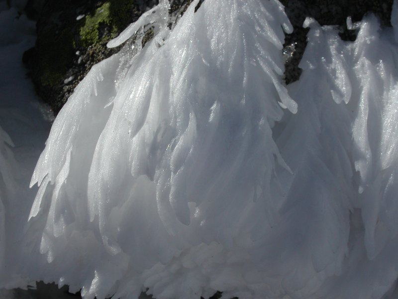 Plumes d'anges : Tout plein de givre sur les rochers sommitaux, c'est très joli on dirait des plumes !
