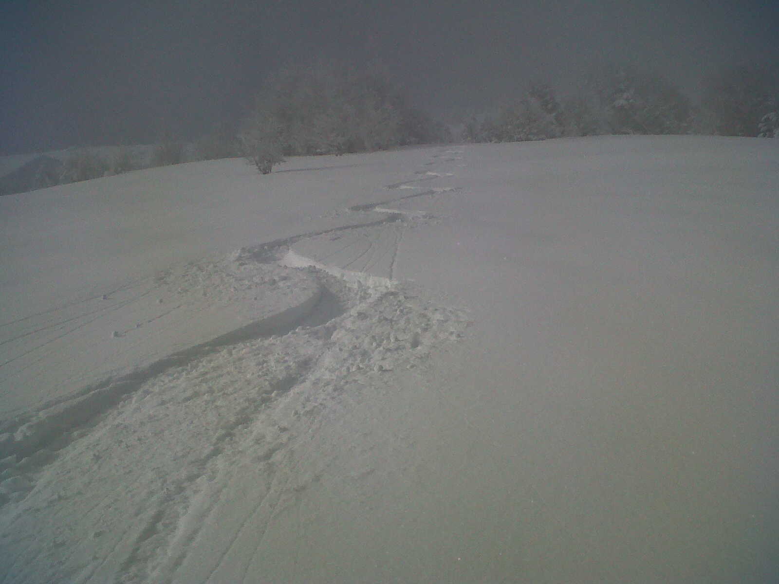 Super neige : Trop bon !
