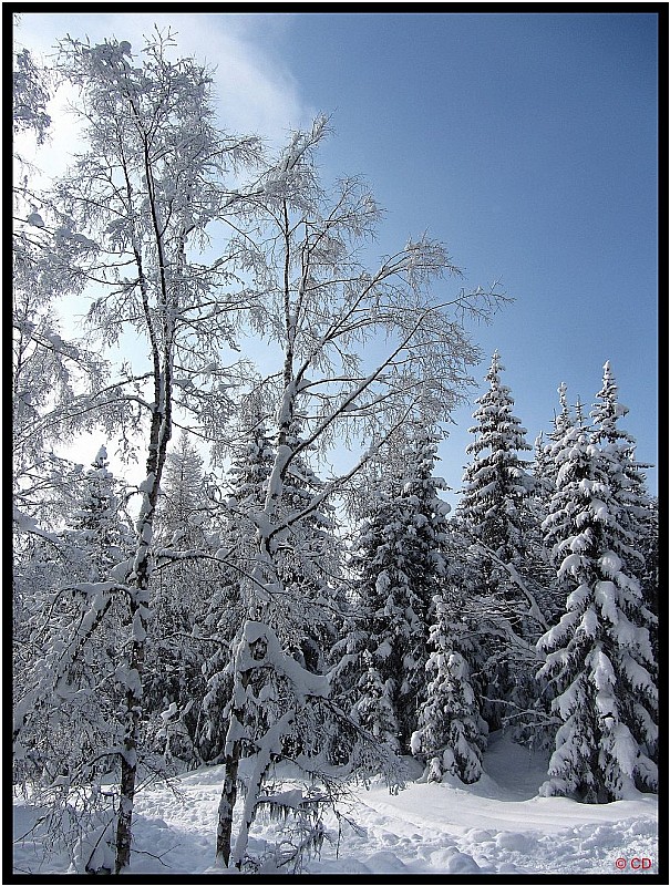 Un coup de ciel bleu : assez rare ce matin !