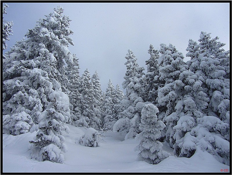 Un coup de ciel voilé : + de neige que ça, c'est pas possible !