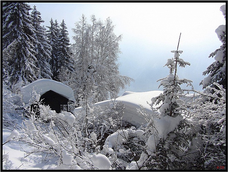 Chalets du Plan de la Cry : Un beau paquet de neige