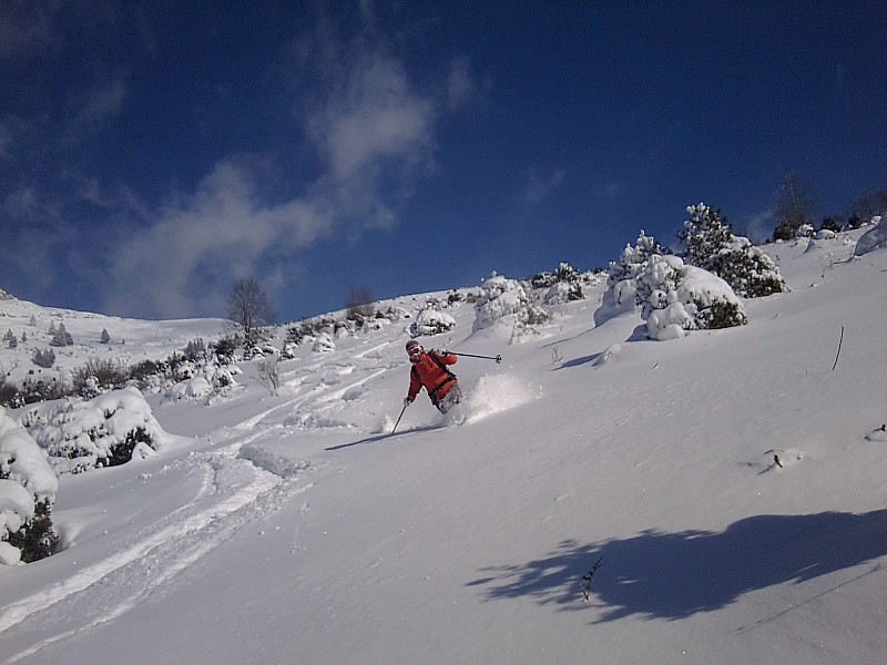 dans la poudreuse : descente de rêve