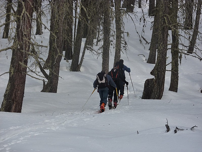 #1 fotêt de clos jarry : bonne trace fotêt de clos jarry : bonne trace
