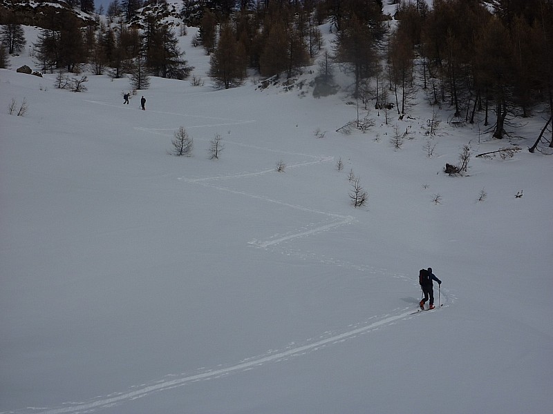 #2 combe des rougnons : poudreuse légère combe des rougnons : poudreuse légère