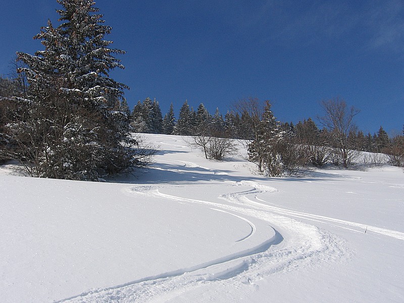 La descente : 800m de poudre légère