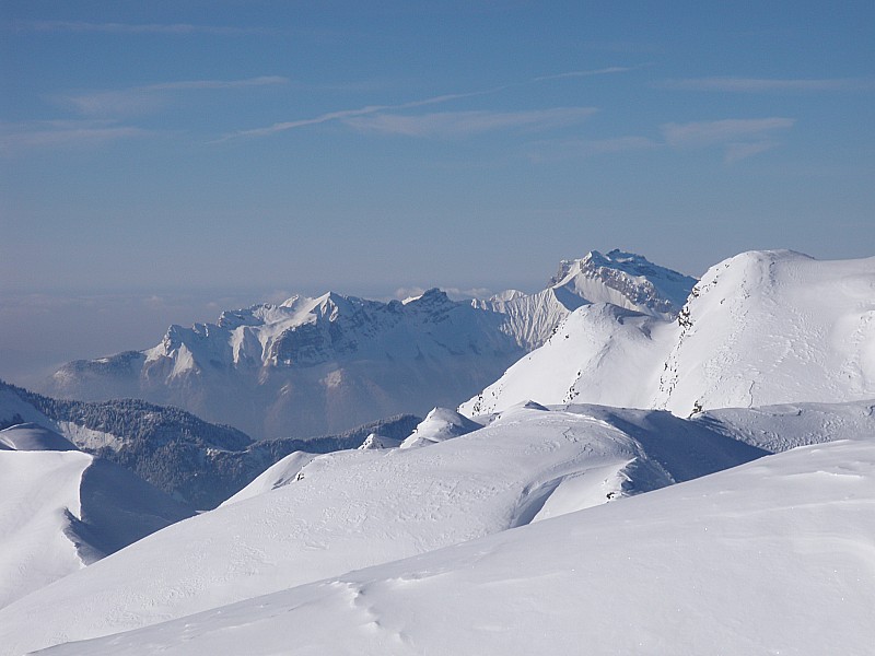 vue du sommet du P. d. l. V. R : crêt des mouches, c'est normal près d'une vache