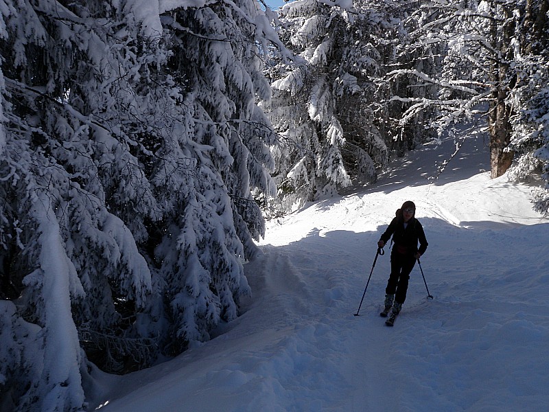 babs : "j'aime les neiges que le vent détache par petits paquets des branches des sapins et réunit à la neige avec le léger bruit d'un baiser"Erri D.L.