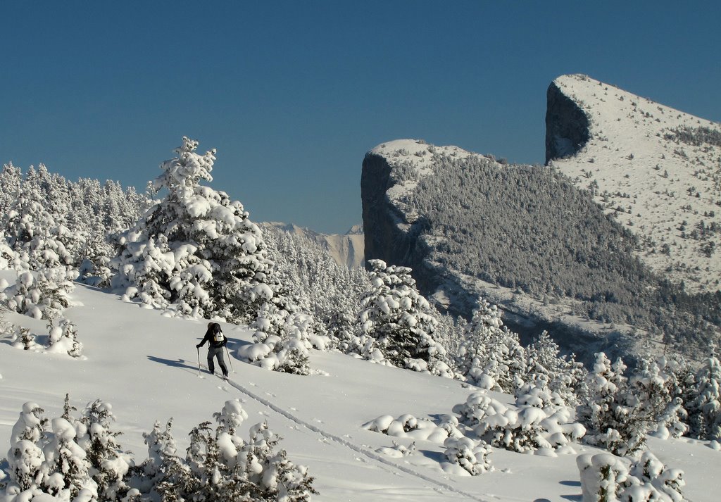 Ambiance très hivernale...