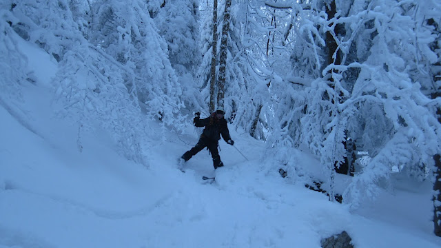 Pas facile ! : Skier en forêt n'est pas chose aisée