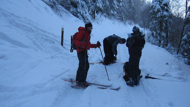 On rechausse ! : Sur la route forestière à 700 m, on remet les skis !