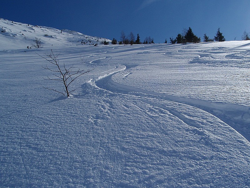 Descente NW- Partie médiane : Neige excellente...